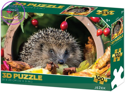 PUZZLE 3D Ježek 31x23cm 100 dílků skládačka v krabici