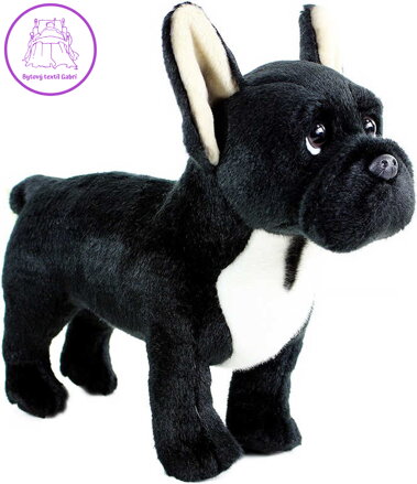 PLYŠ Pes francouzský buldoček 30cm stojící *PLYŠOVÉ HRAČKY*