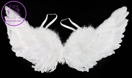 KARNEVAL Křídla andělská s peřím 50cm *KARNEVALOVÝ DOPLNĚK* KARNEVAL Křídla andělská s peřím 50cm *KARNEVALOVÝ DOPLNĚK*