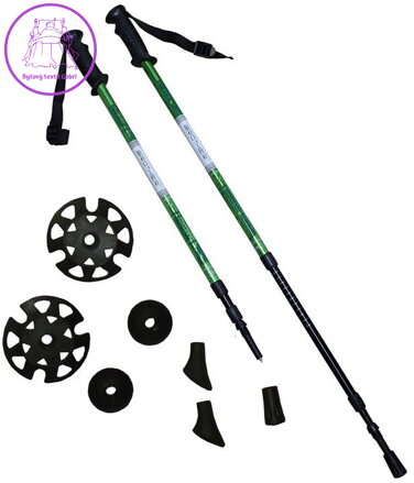 BROTHER Trekingové hole set 1 pár s příslušenstvím zelené LTH130
