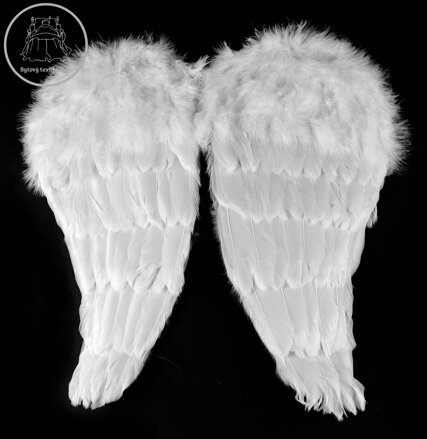 KARNEVAL Křídla andělská s peřím 48cm *KARNEVALOVÝ DOPLNĚK* KARNEVAL Křídla andělská s peřím 48cm *KARNEVALOVÝ DOPLNĚK*