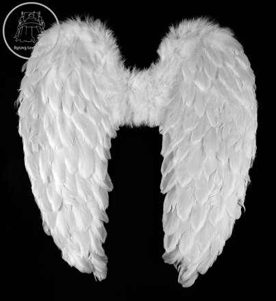 KARNEVAL Křídla andělská s peřím 55cm *KARNEVALOVÝ DOPLNĚK* KARNEVAL Křídla andělská s peřím 55cm *KARNEVALOVÝ DOPLNĚK*