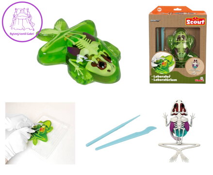 SIMBA Mini laboratoř Pitva, 3 druhy žába, mlok, netopýr