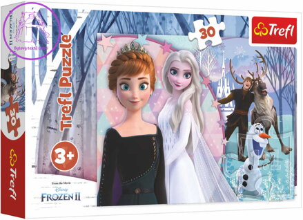 TREFL Puzzle Ledové Království 2 (Frozen) II. 27x20cm 30 dílků skládačka v krabici