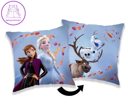 Jerry Fabrics Polštářek Frozen 2 Wind 02 35x35 cm
