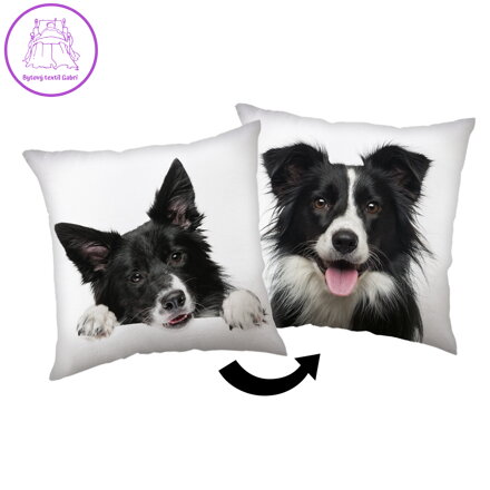 Jerry Fabrics Polštářek Border Kolie 40x40 cm