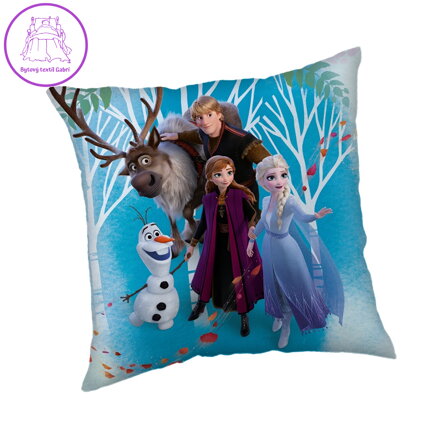 Jerry Fabrics Polštářek Frozen 02 Family 40x40 cm