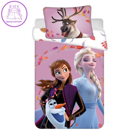 Jerry Fabrics Disney povlečení do postýlky Frozen 2 Wind 03 baby 100x135, 40x60 cm