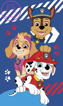 Jerry Fabrics Dětský ručník Paw Patrol Blue 30x50 cm