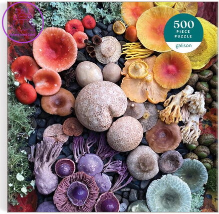 GALISON Čtvercové puzzle Rozkvetlé houby 500 dílků