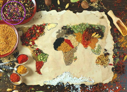 ANATOLIAN Puzzle Mapa světa z koření 1000 dílků