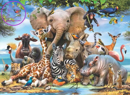 ANATOLIAN Puzzle Africký úsměv 1000 dílků