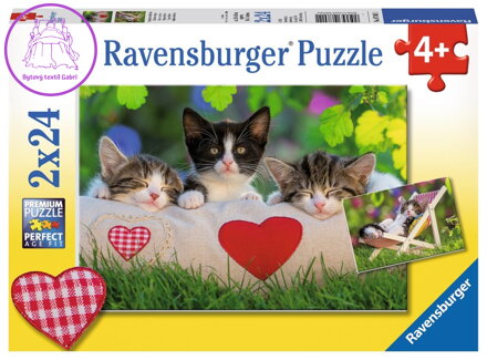 RAVENSBURGER Puzzle Ospalá koťata 2x24 dílků