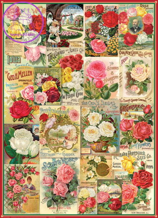 EUROGRAPHICS Puzzle Katalog semínek: Růže 1000 dílků