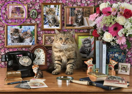 RAVENSBURGER Puzzle Moje drahá kočka 1000 dílků