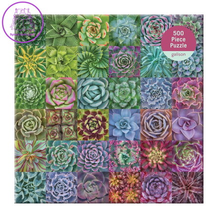GALISON Čtvercové puzzle Spektrum sukulentů 500 dílků