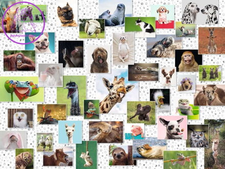 RAVENSBURGER Puzzle Koláž se zvířecími ksichtíky 1500 dílků