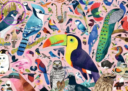 RAVENSBURGER Puzzle Úžasní ptáci 1000 dílků