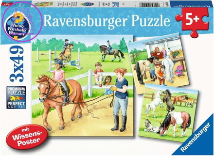 RAVENSBURGER Puzzle Den u koní 3x49 dílků