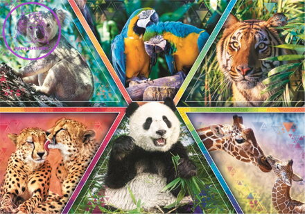 TREFL Puzzle Animal Planet: Království zvířat 1000 dílků