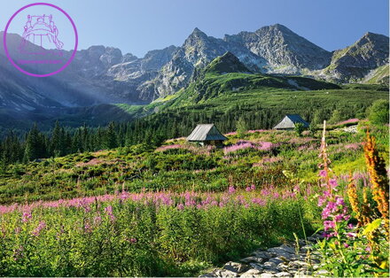 CHERRY PAZZI Puzzle Gąsienicowa dolina, Vysoké Tatry 1000 dílků