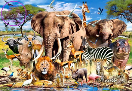 CASTORLAND Puzzle Zvířata ze savany 260 dílků