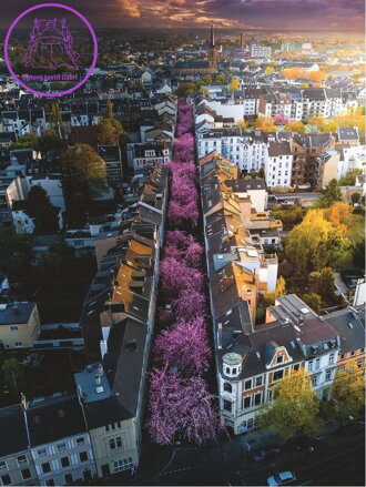 RAVENSBURGER Puzzle Rozkvetlý Bonn 1500 dílků