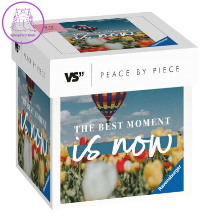 RAVENSBURGER Puzzle Peace by Piece: The best moment is now 99 dílků