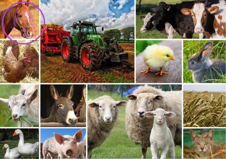 GRAFIKA Puzzle Hospodářská zvířata 1500 dílků