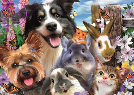EDUCA Puzzle Vtipné selfie 500 dílků
