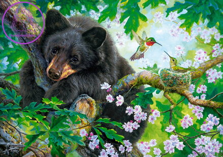 CASTORLAND Puzzle Kéž bych mohl létat 500 dílků