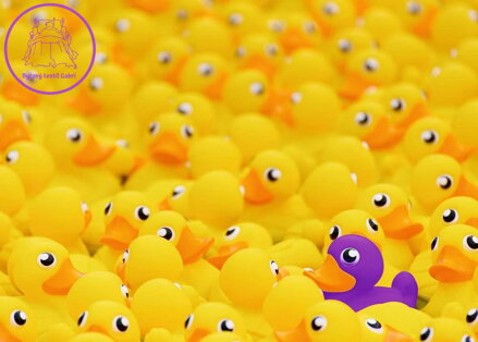 RAVENSBURGER Puzzle Challenge: Kačenky 1000 dílků
