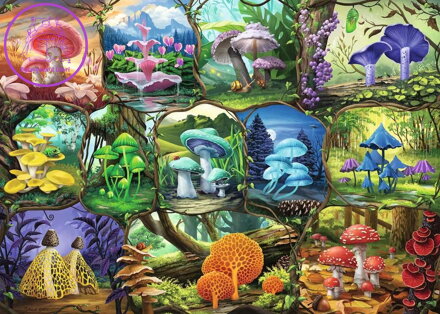 RAVENSBURGER Puzzle Nádherné houby 1000 dílků