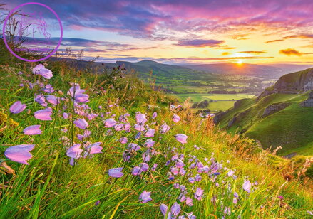 CASTORLAND Puzzle Zvonky při východu slunce 500 dílků