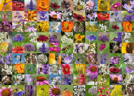 RAVENSBURGER Puzzle Včely na květinách 1000 dílků