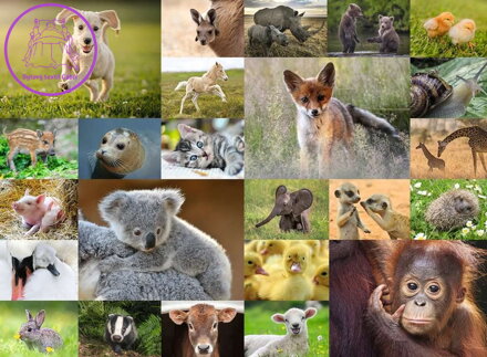RAVENSBURGER Puzzle Koláž zvířecích mláďat XXL 200 dílků