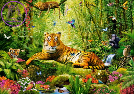 CASTORLAND Puzzle Tygří veličenstvo 500 dílků