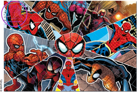 EDUCA Puzzle Spiderman 1000 dílků