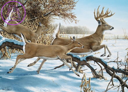 COBBLE HILL Puzzle Útěk 1000 dílků