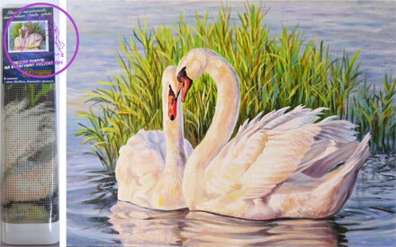 Norimpex Diamantové malování Labutě v rákosí 30x40cm