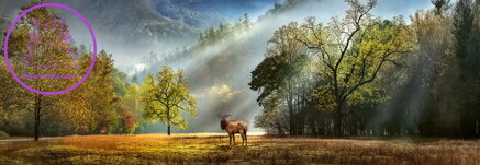 HEYE Panoramatické puzzle Ranní pozdravení 1000 dílků