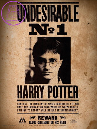 SD TOYS MERCHANDISING Puzzle Harry Potter: Nežádoucí č. 1, 50 dílků