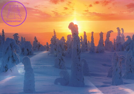 TREFL Puzzle Finská příroda 1000 dílků