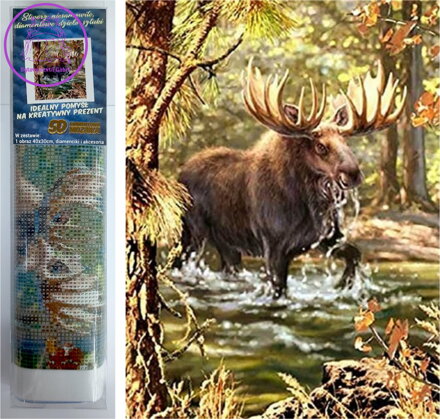 Norimpex Diamantové malování Los v řece 30x40cm