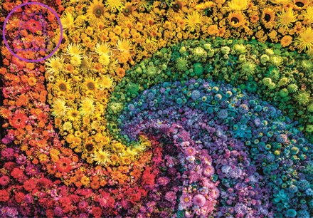 CLEMENTONI Puzzle ColorBoom: Vír 1000 dílků