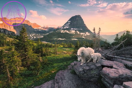 RAVENSBURGER Puzzle Alpská koza s mládětem 3000 dílků