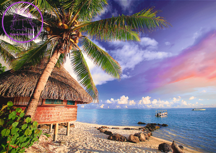 TREFL Puzzle Ostrov Bora-Bora 500 dílků