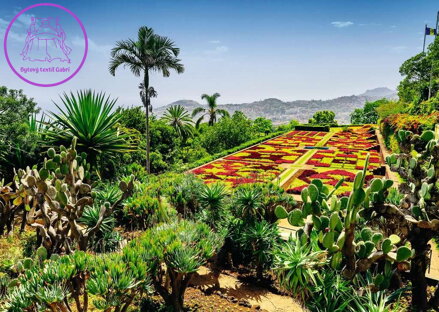 RAVENSBURGER Puzzle Kouzelné zahrady: Botanická zahrada, Madeira 1000 dílků