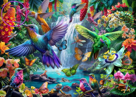 BLUEBIRD Puzzle Tropičtí kolibříci 500 dílků