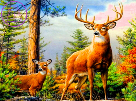 NORIMPEX Diamantové malování Jelen v horách 30x40cm